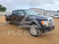 2009 Ford F-150 фото