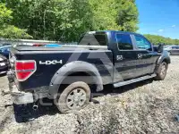 2009 Ford F-150 photo