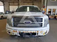 2009 Ford F-150 photo