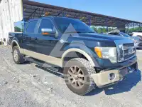 2009 Ford F-150 photo