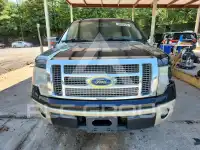2009 Ford F-150 фото