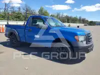 2009 Ford F-150 photo