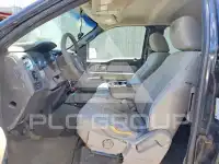 2009 Ford F-150 photo