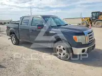 2009 Ford F-150 фото
