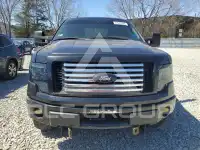 2009 Ford F-150 фото