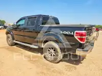 2009 Ford F-150 фото