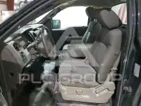 2009 Ford F-150 photo