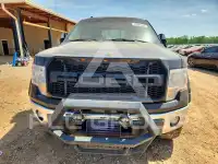 2009 Ford F-150 фото