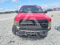 2009 Ford F-150 photo
