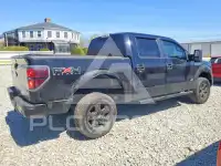 2009 Ford F-150 фото