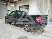 2009 Ford F-150 photo