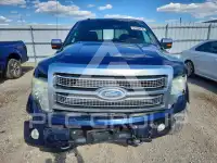 2009 Ford F-150 фото