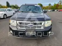 2009 Ford ESCAPE photo