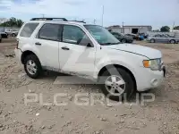 2009 Ford ESCAPE фото
