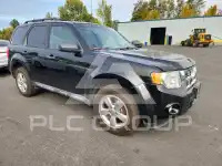 2009 Ford ESCAPE photo