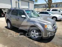 2009 Ford ESCAPE фото