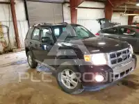 2009 Ford ESCAPE photo