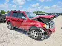2009 Ford ESCAPE photo