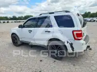 2009 Ford ESCAPE photo