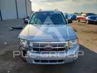 2009 Ford ESCAPE фото