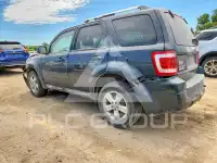 2009 Ford ESCAPE фото