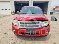 2009 Ford ESCAPE photo