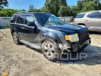 2009 Ford ESCAPE photo