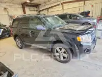 2009 Ford ESCAPE photo