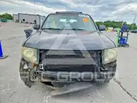 2009 Ford ESCAPE фото