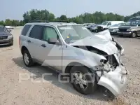 2009 Ford ESCAPE фото