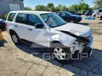 2009 Ford ESCAPE фото