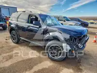 2009 Ford ESCAPE photo
