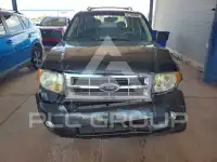 2009 Ford ESCAPE фото