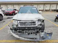 2009 Ford ESCAPE фото