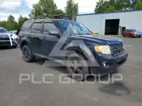 2009 Ford ESCAPE фото