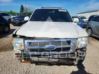 2009 Ford ESCAPE фото