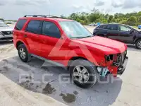 2009 Ford ESCAPE photo