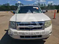 2009 Ford ESCAPE фото