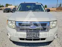 2009 Ford ESCAPE photo