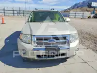 2009 Ford ESCAPE фото