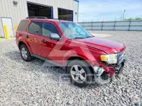 2009 Ford ESCAPE photo