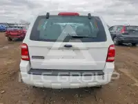 2009 Ford ESCAPE фото