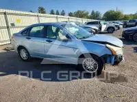 2009 Ford FOCUS фото