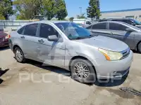 2009 Ford FOCUS фото