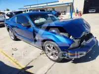 2009 Ford MUSTANG photo