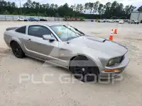 2009 Ford MUSTANG фото
