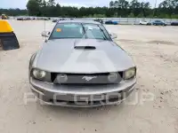 2009 Ford MUSTANG фото
