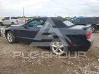 2009 Ford MUSTANG фото