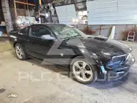 2009 Ford MUSTANG photo