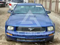 2009 Ford MUSTANG фото